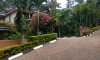 IMG-20210619-WA0000.jpg