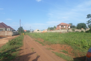LAND