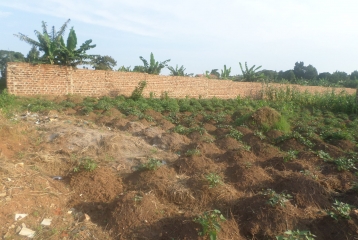 LAND