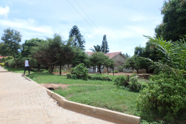 SAM_0445.JPG