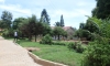 SAM_0445.JPG