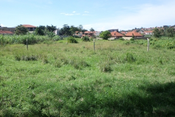 LAND