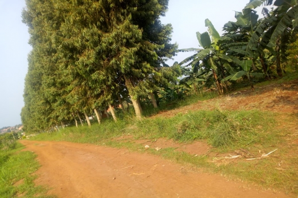 IMG-20190624-WA0038.jpg
