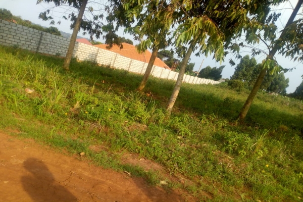 IMG-20190624-WA0033.jpg