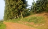 IMG-20190624-WA0038.jpg