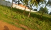 IMG-20190624-WA0033.jpg