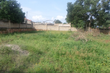 LAND