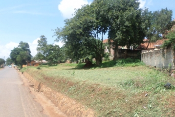 LAND