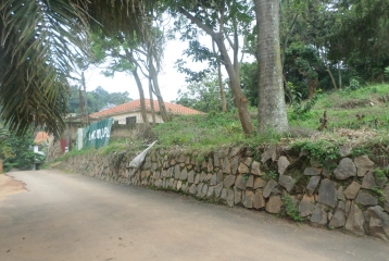 LAND